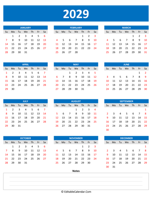 2029 yearly calendar notes portrait blue style